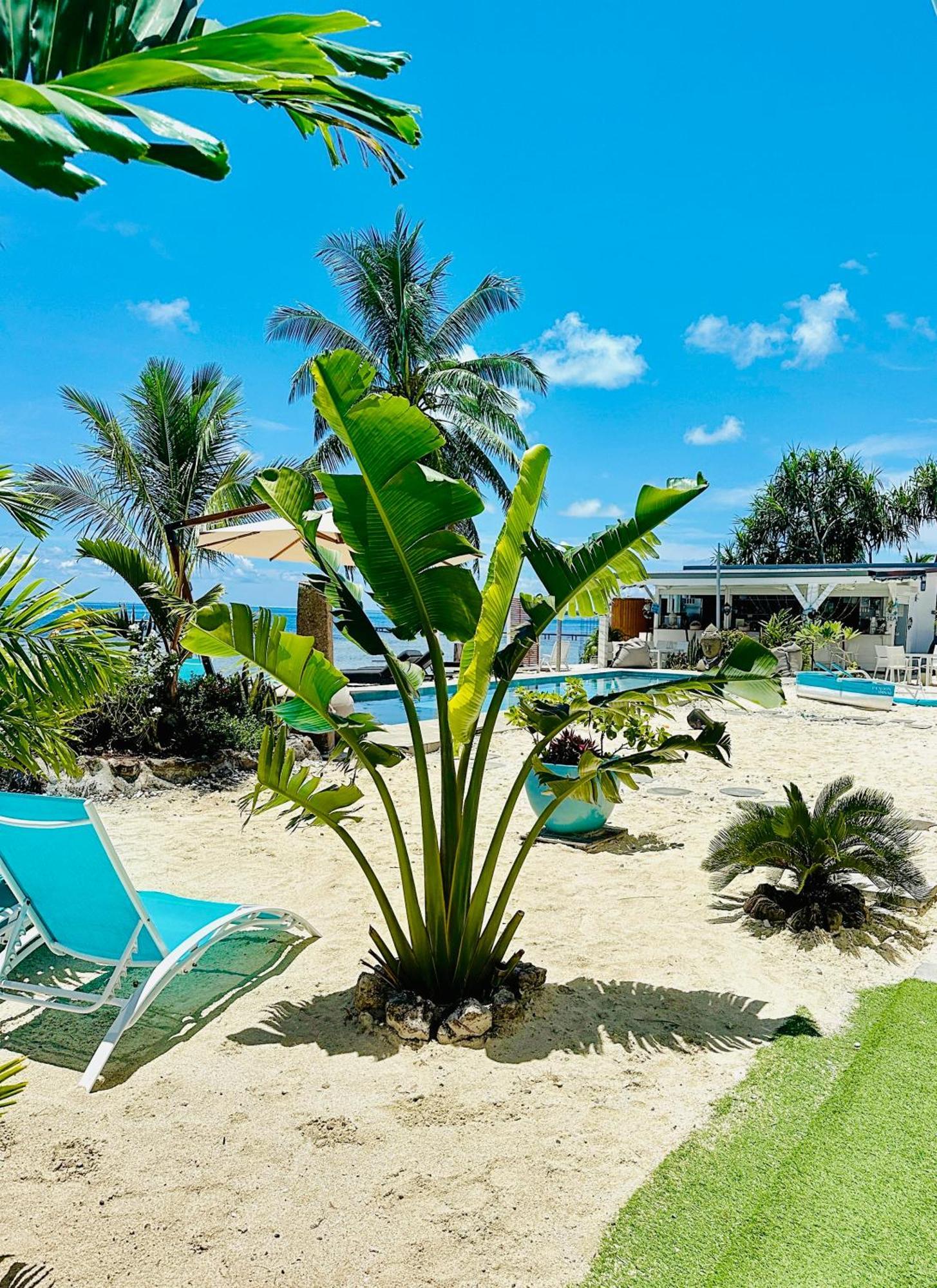 Pension Irivai, Appartement Uo Uo 3 Chambres Vue Mer Утуроа Экстерьер фото